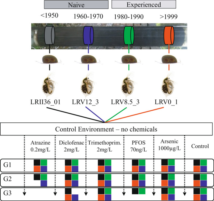 FIGURE 1