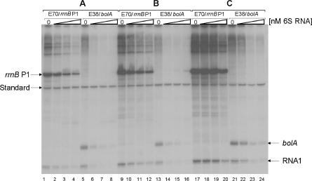 Figure 6.