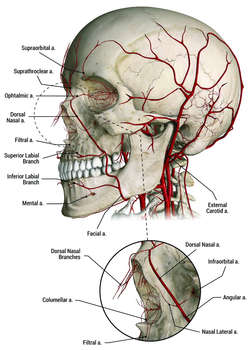 FIGURE 1.