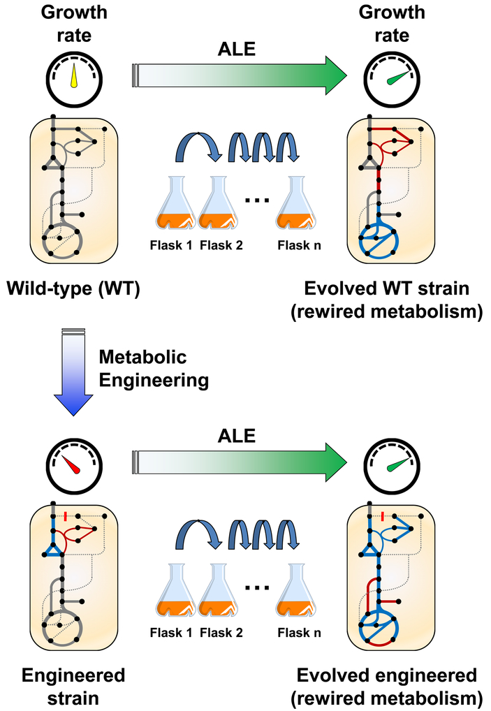 Figure 2.