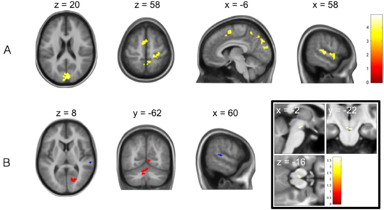 Fig. 7