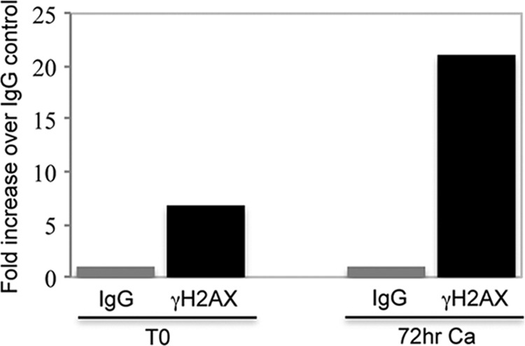 Fig 5