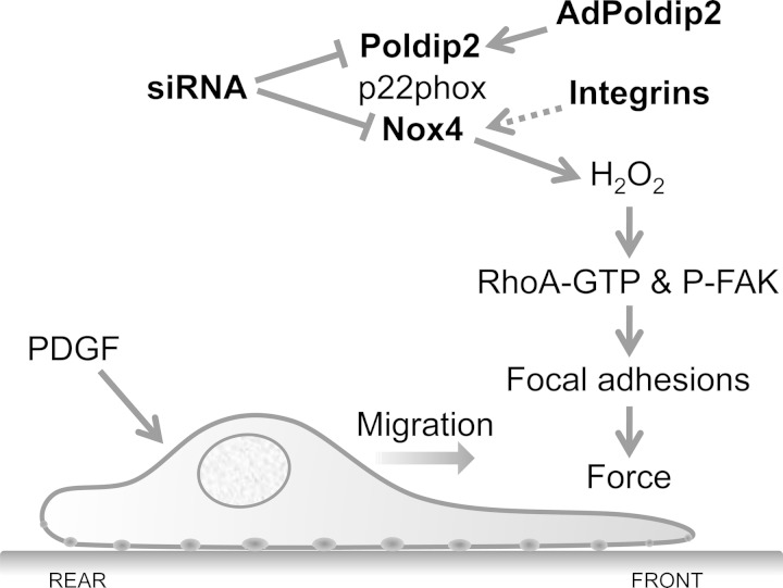 Fig. 9.