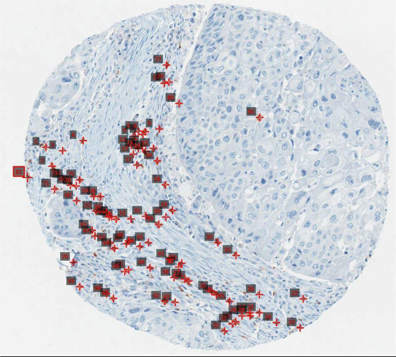 Figure 1b: