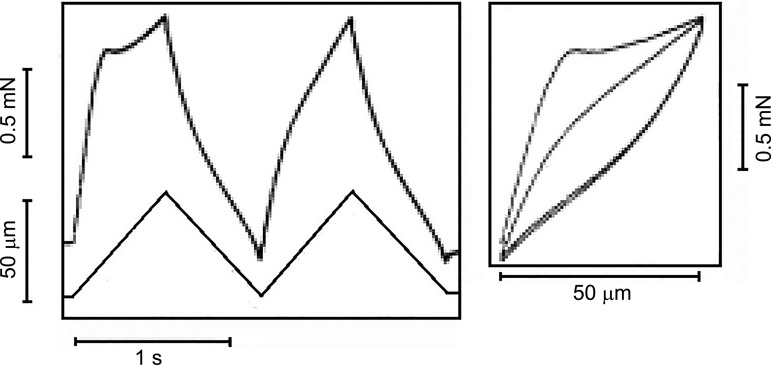 Fig. 2.