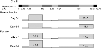 Figure 4.—