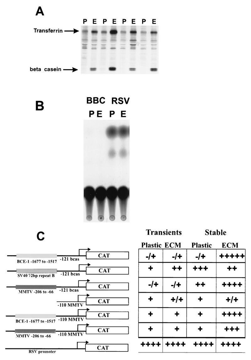 FIG. 5