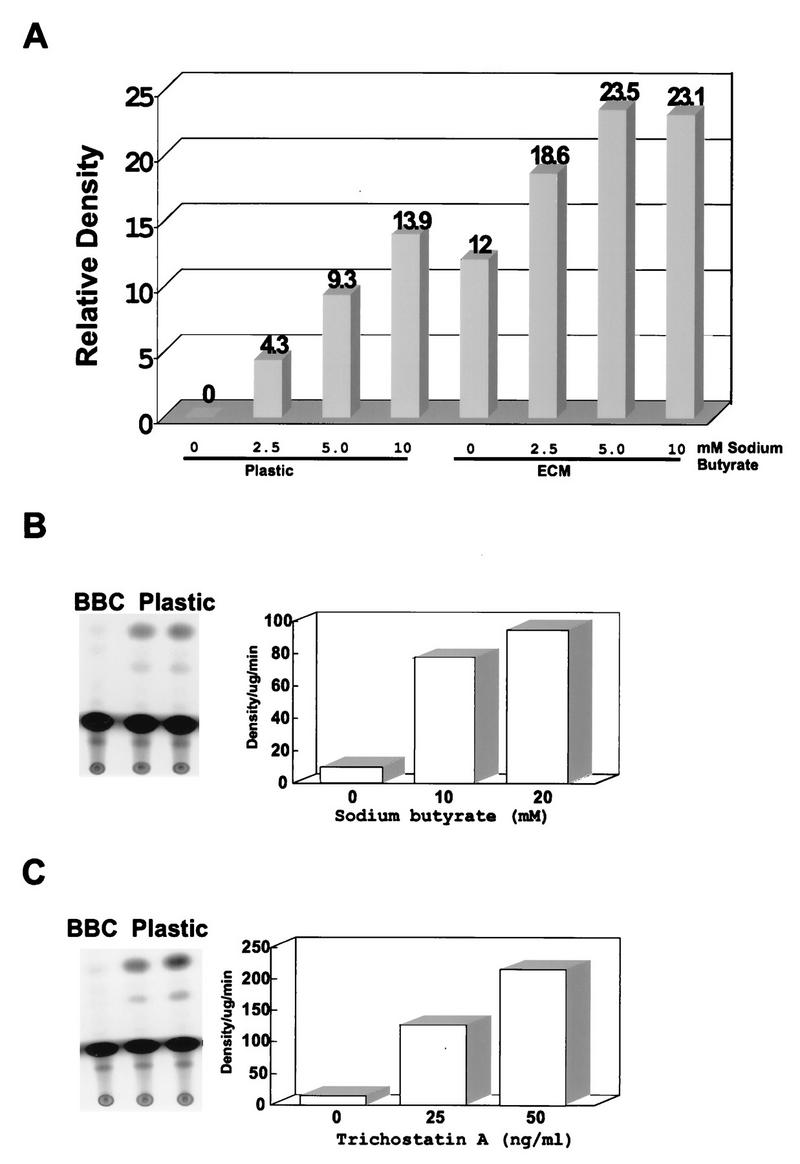 FIG. 6