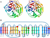FIGURE 2.