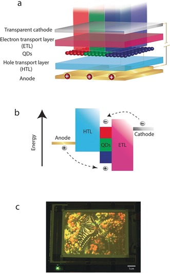 Figure 11