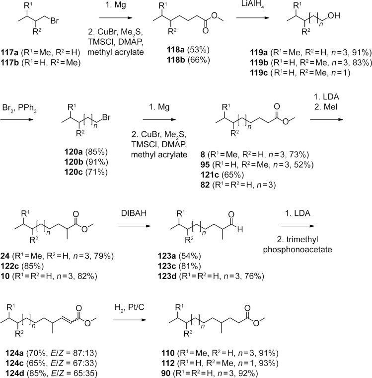 Scheme 3