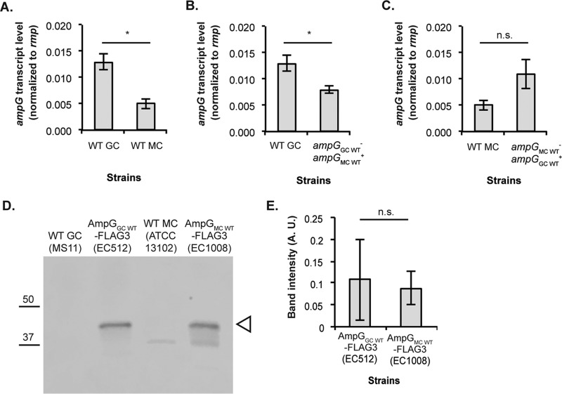 FIG 2