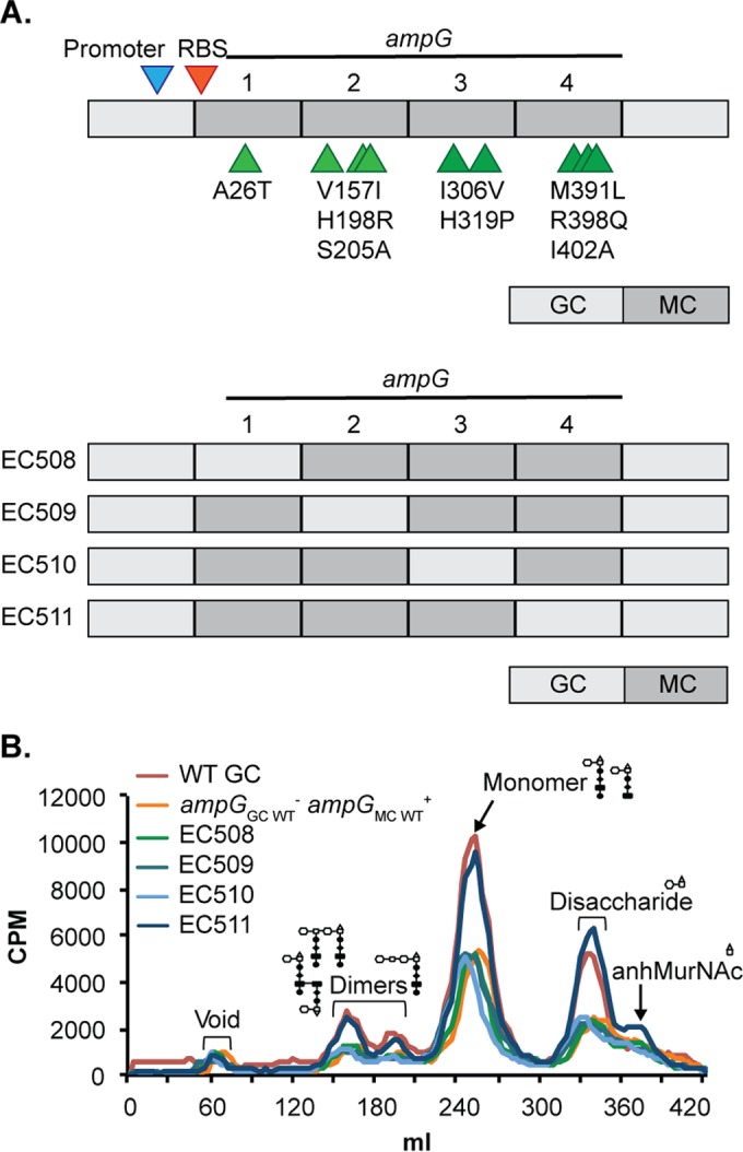 FIG 3