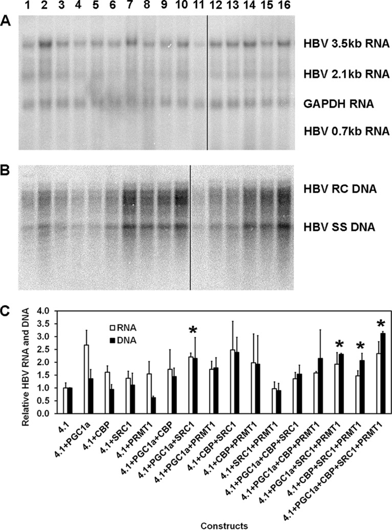 FIG 1