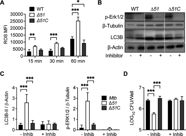 FIG 2