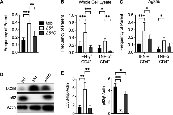 FIG 6