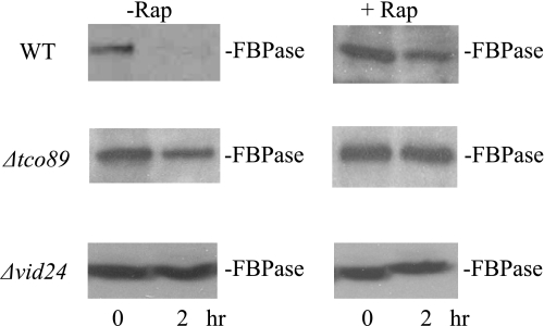 FIGURE 10.