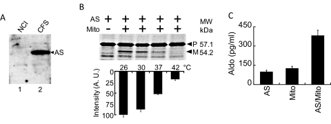 Fig. 4.