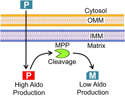 Fig. 7.