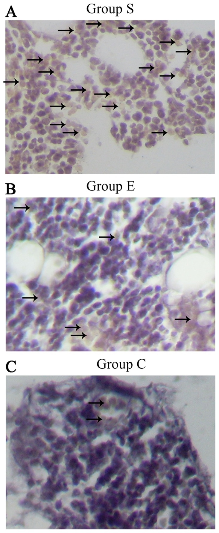 Figure 7.