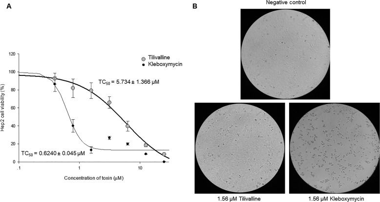 Figure 10.