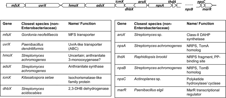 Figure 9.