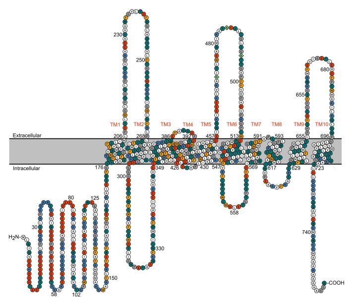 Figure 2—figure supplement 2.