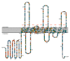 Figure 2—figure supplement 2.