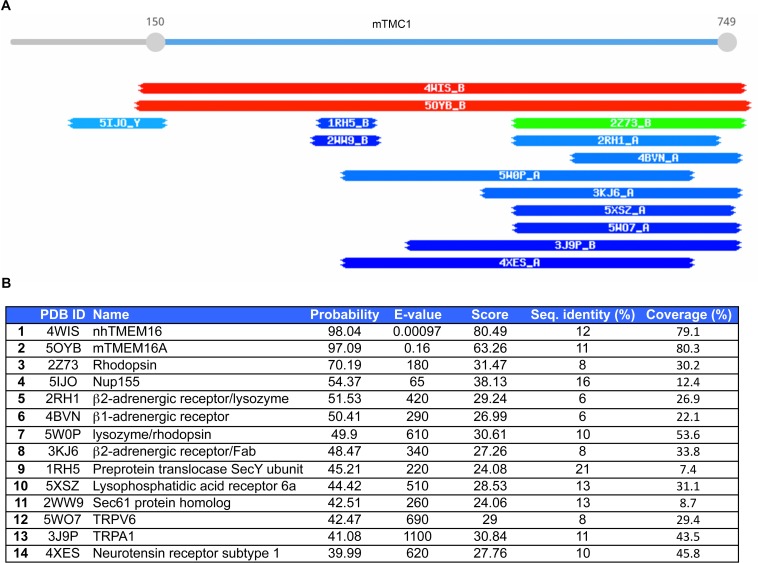 Figure 1—figure supplement 1.