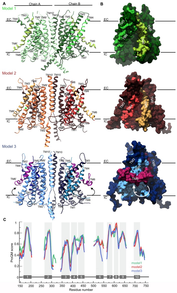 Figure 2.