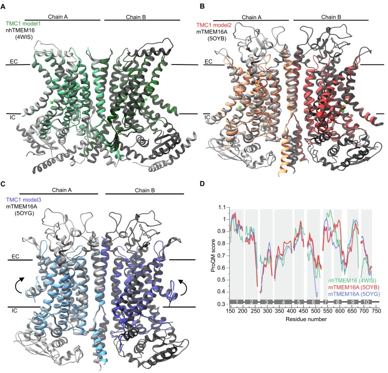 Figure 2—figure supplement 1.