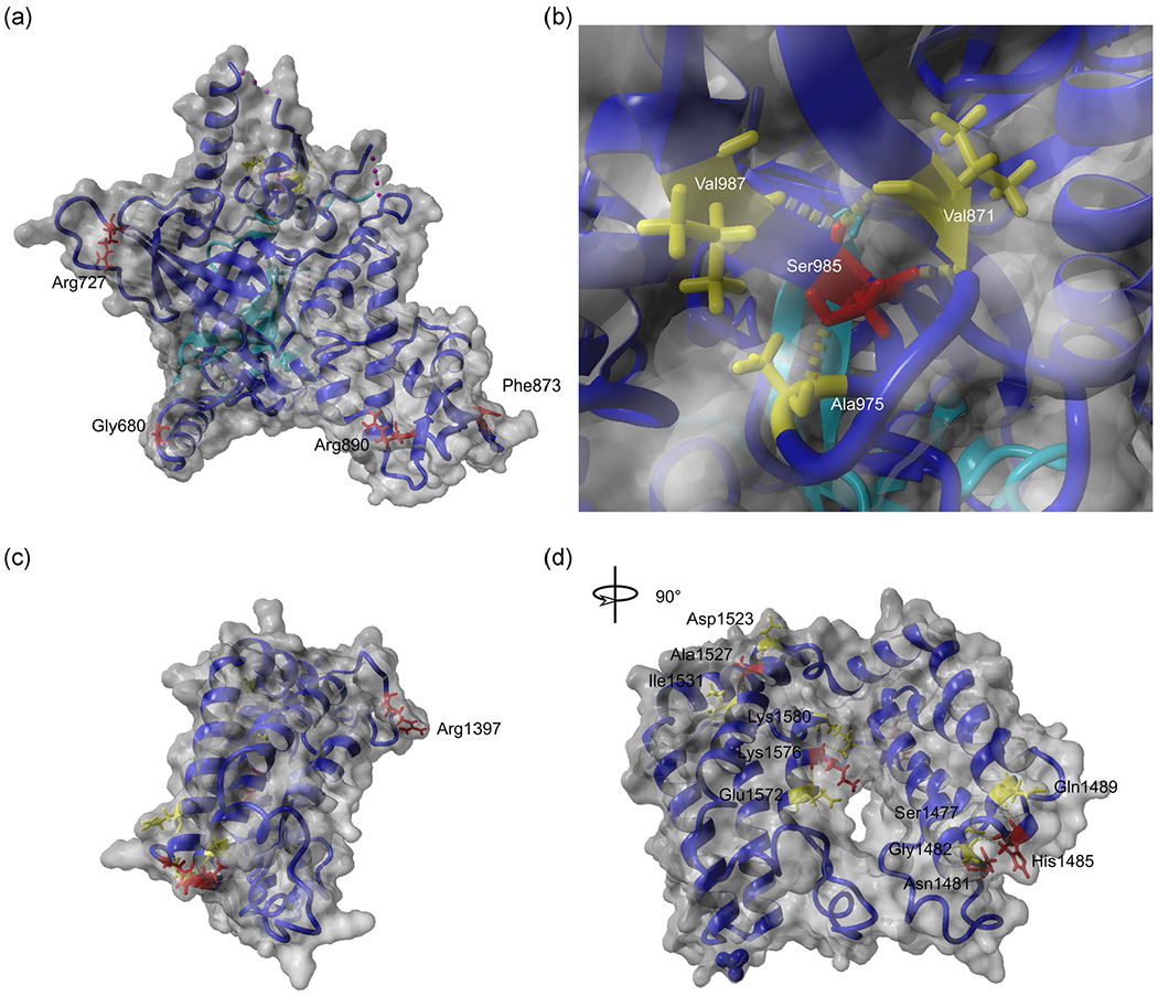 FIGURE 3