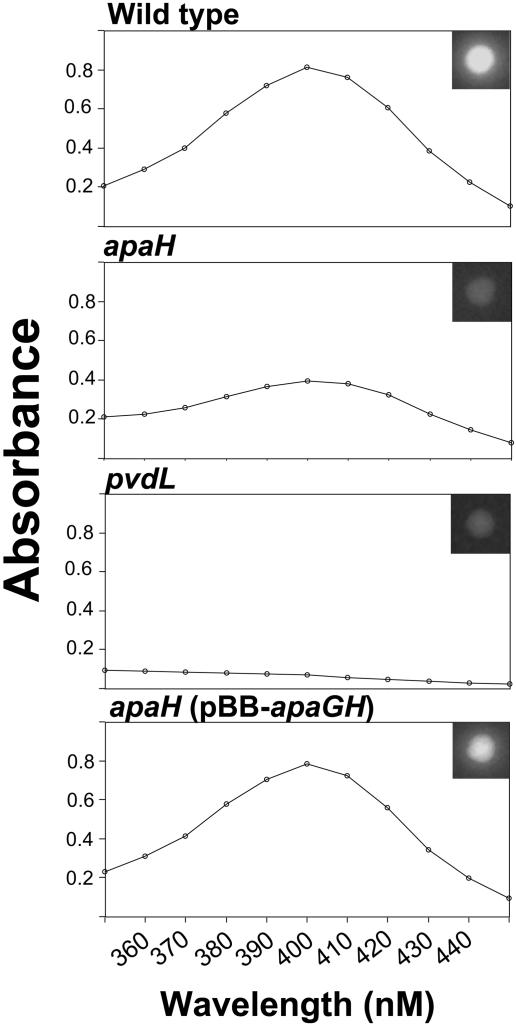 FIG. 7.