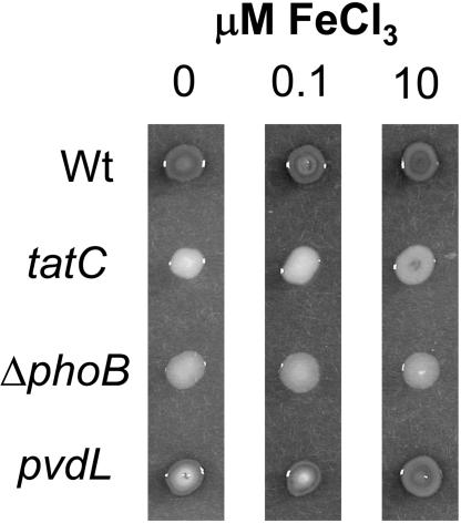 FIG. 6.