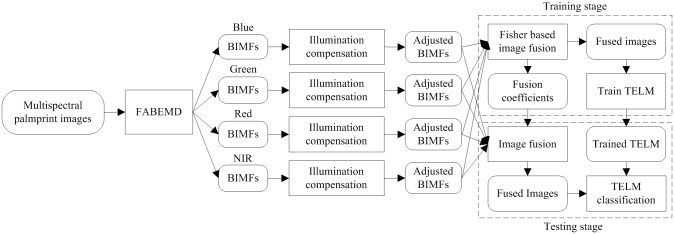 Fig 4