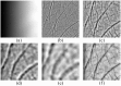 Fig 8