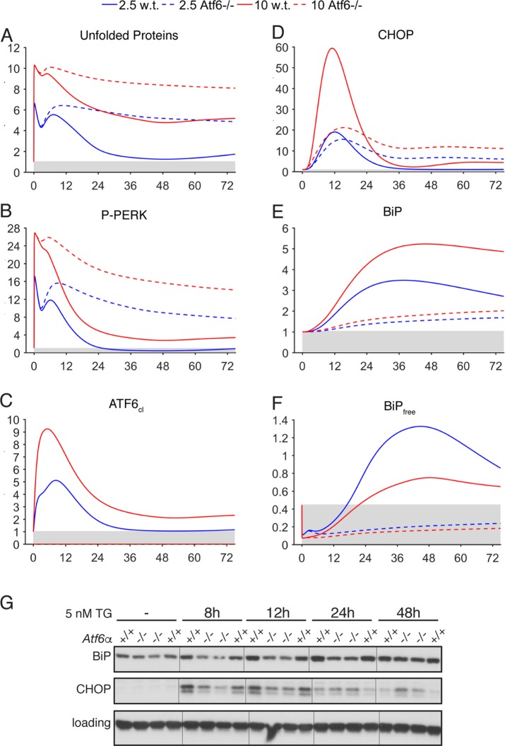 FIGURE 4: