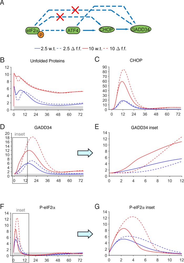 FIGURE 7: