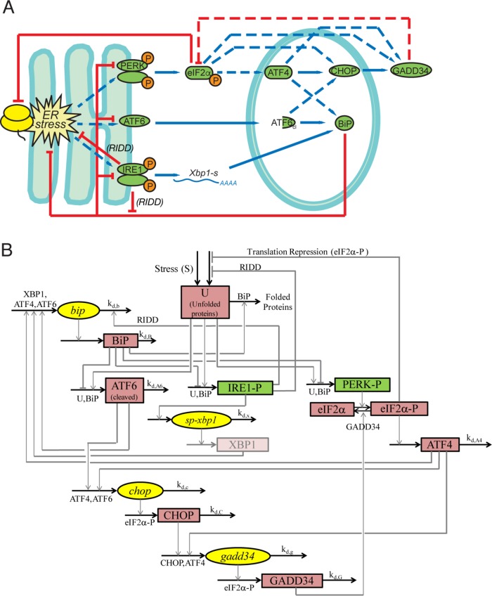 FIGURE 2: