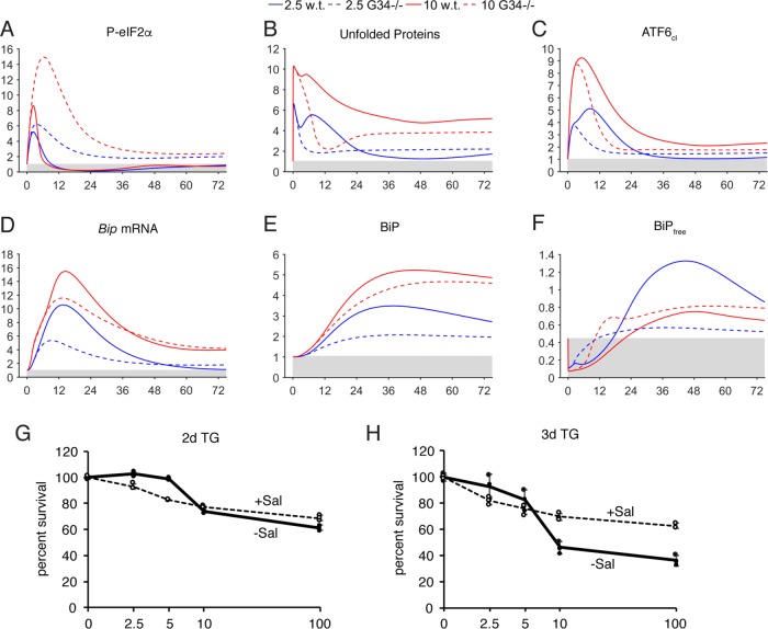 FIGURE 6: