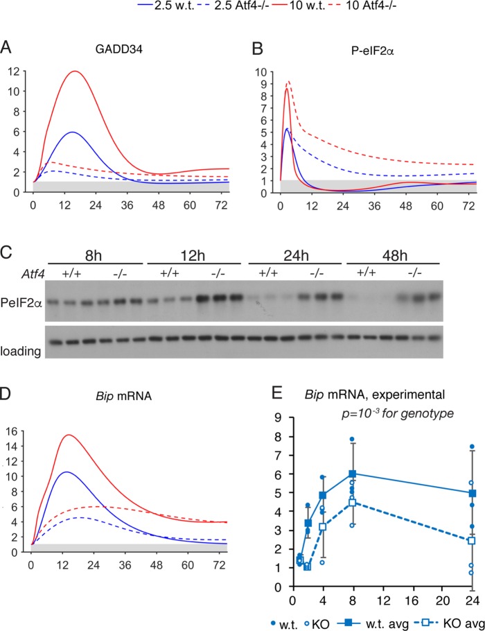 FIGURE 5: