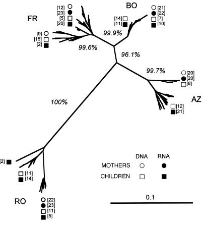 FIG. 1