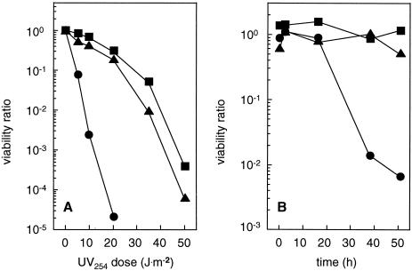 FIG. 6