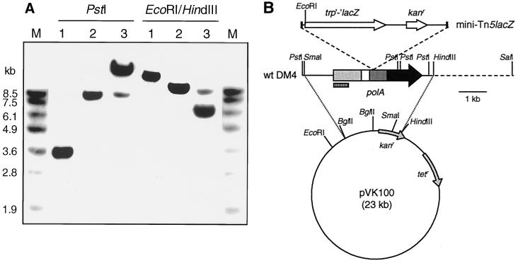 FIG. 1