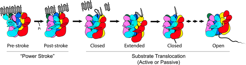 Figure 5.