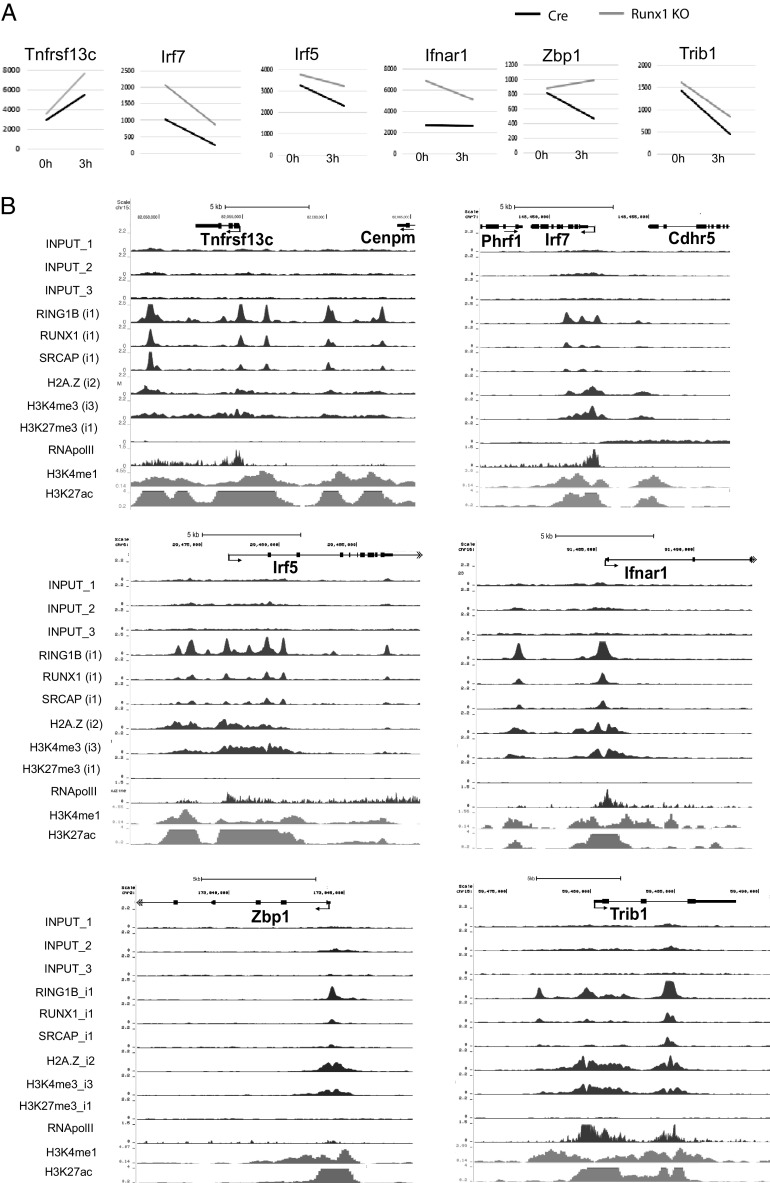 FIGURE 7.