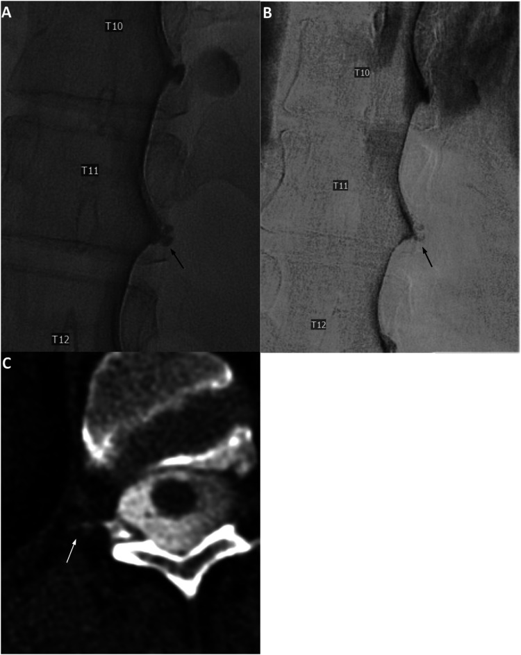 Figure 3.