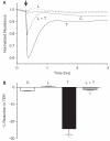 <b>FIG. 7.</b>