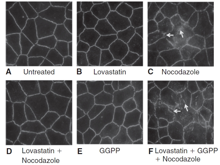 FIG. 10. 