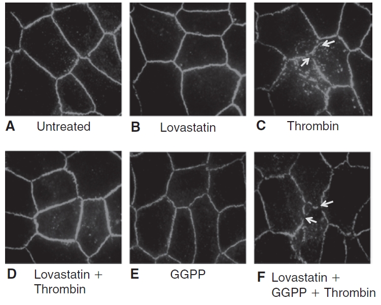 FIG. 8. 